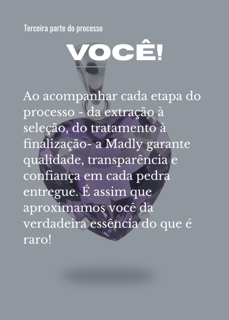 Primeira Parte Do Processo 2 734x1024