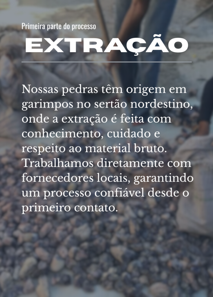 Primeira Parte Do Processo 734x1024